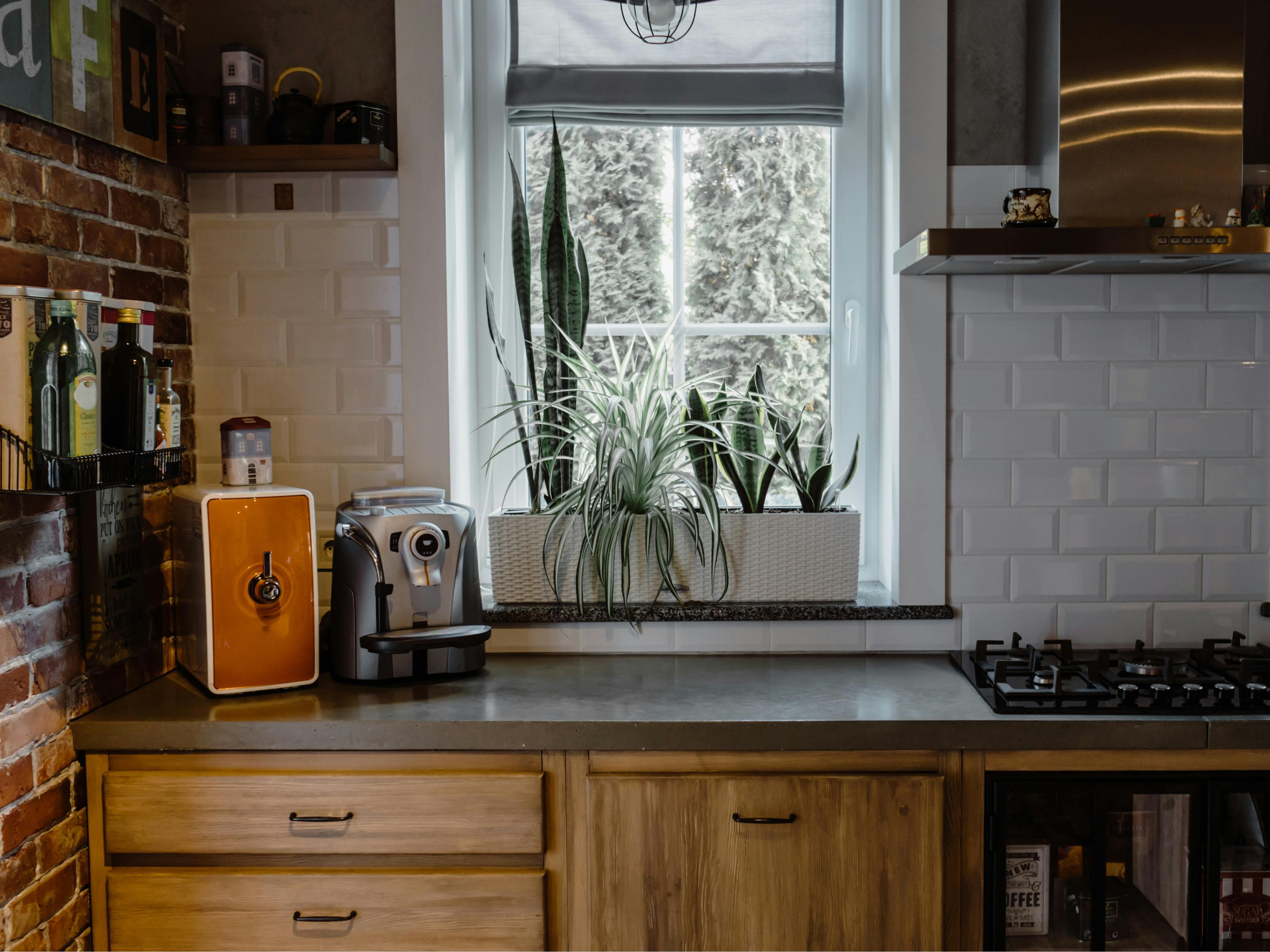 A cozy kitchen corner with wooden cabinets, a gas stove, and plants on the windowsill