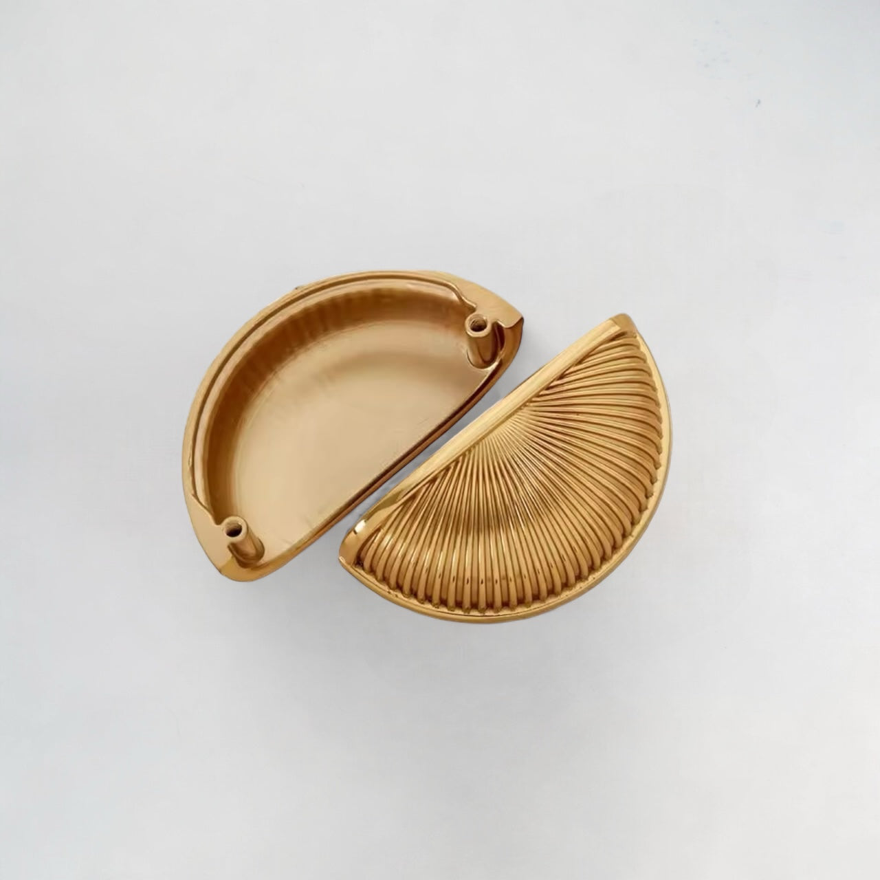Simple Shell Solid Brass Pulls